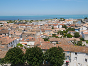 Courtier Saint-Martin-d'Hères